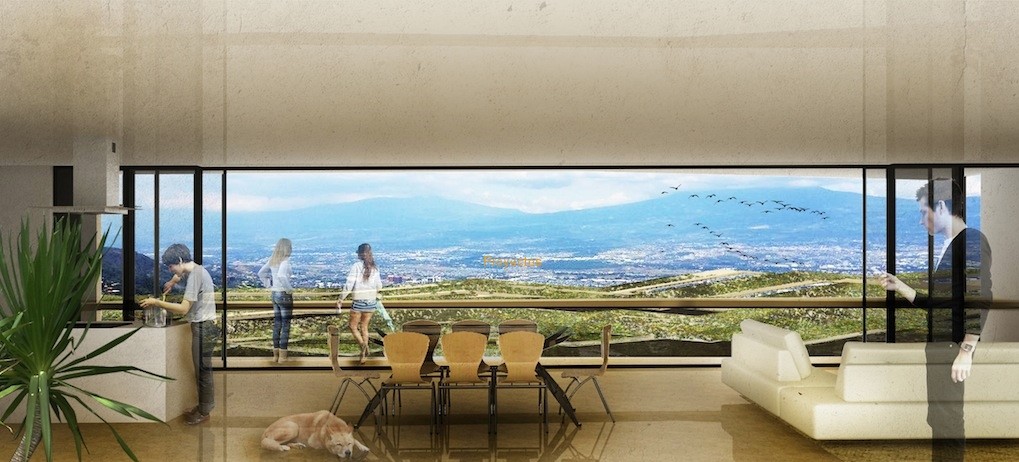 651_terrazarender2.jpg