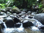 thumb_109_24.jpg