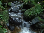thumb_109_dsc00064.jpg