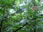 thumb_109_dsc00070.jpg