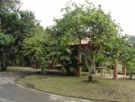 thumb_195_dehesa9.jpg