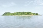 thumb_609_images1.jpg