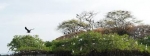 thumb_609_images10.jpg