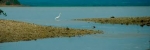 thumb_609_images11.jpg