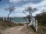 thumb_71_picture1papaturro4.jpg
