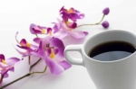 thumb_88_orchid2520and2520cup.jpg